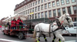 Horse Drawn Cart